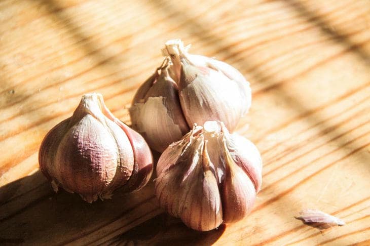 Eski sarımsak neden bütün bir yemeği mahvedebilir: tazeliğin mutfak matematiği