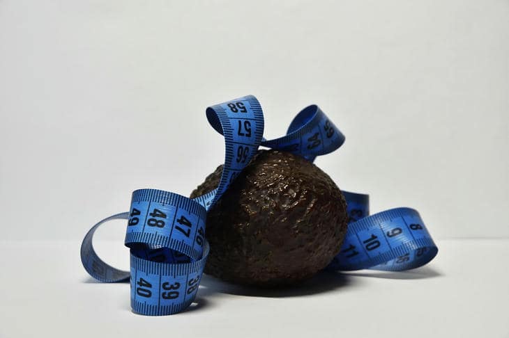 Kilo vermeyi bıraktığınızda yağlara ne olur: başarısızlığın değil adaptasyonun sinyalini veren bir plato