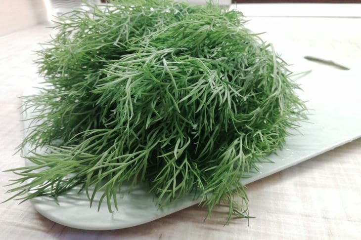 Rafınızdaki yeşillikler neden bir saat içinde soluyor: buzdolabının beklenmedik bir sırrı